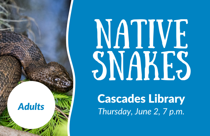 Native Snakes June 2
